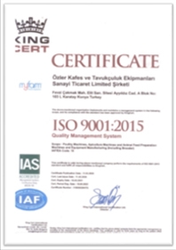 ISO 9001 