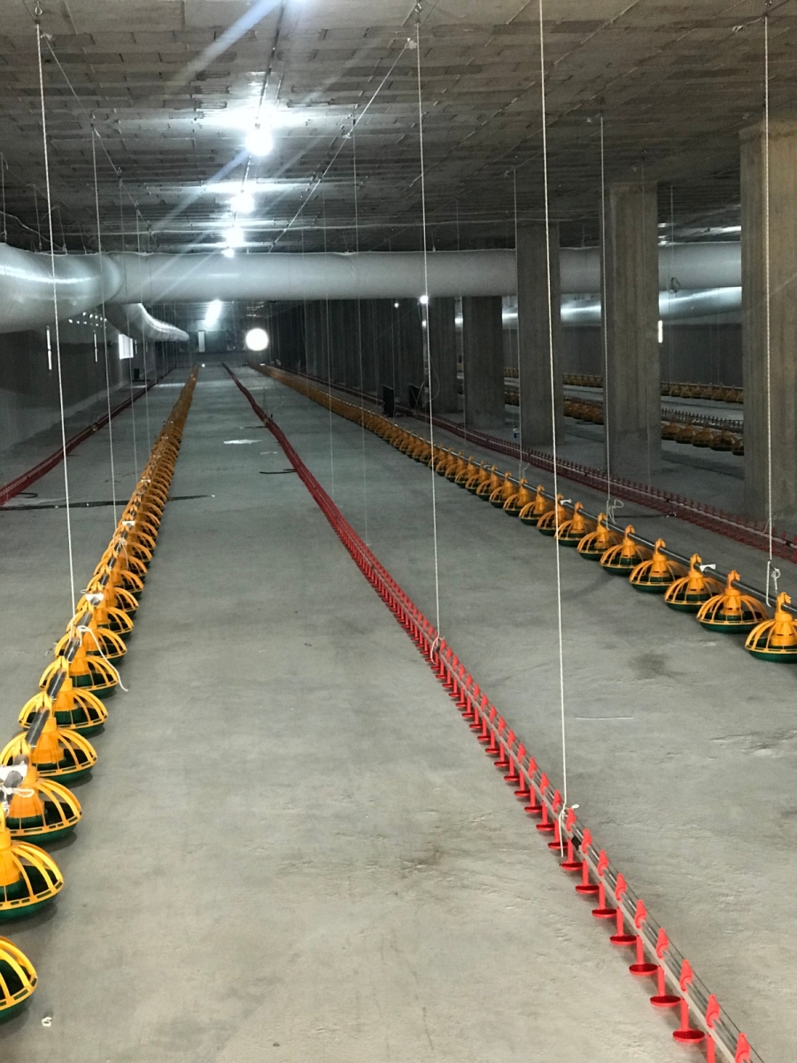 Broiler Ground System